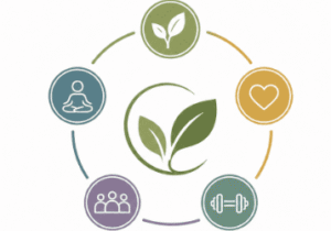 Balanced Care Method®: A Lifestyle for Healthy Longevity